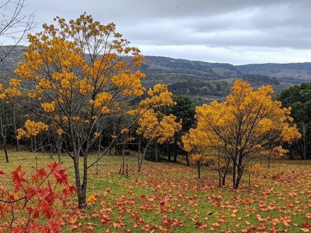 Paisagem outonal na Serra Gaúcha, Brasil, marcando o equinócio de outono em 20 de março de 2026, com folhas caindo e céu nublado.