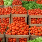 Mercado atacadista no Brasil com hortaliças como tomates e alfaces, ilustrando alta nos preços em dezembro de 2025.