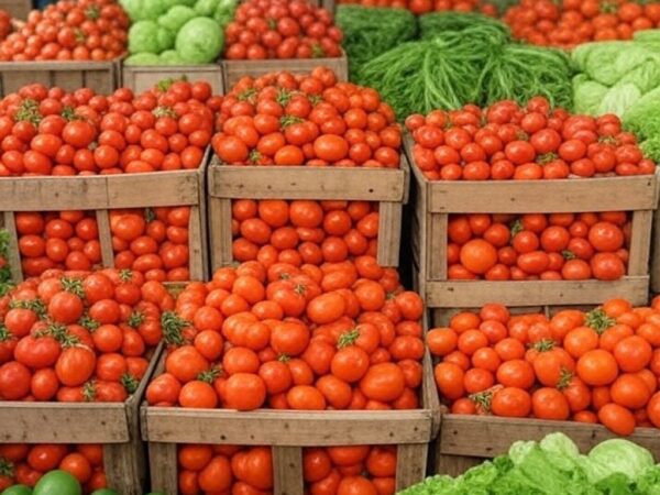 Mercado atacadista no Brasil com hortaliças como tomates e alfaces, ilustrando alta nos preços em dezembro de 2025.