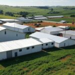 Granja avícola no interior de São Paulo, ilustrando queda no poder de compra dos avicultores em janeiro.