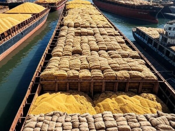 Porto brasileiro com navios carregados de grãos agrícolas, ilustrando embarques de 160,55 milhões de toneladas em 2025 segundo ANEC.