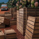 Plantação de frutas tropicais no Brasil com caixas empilhadas, ilustrando suspensão de importações pela França por substâncias proibidas.