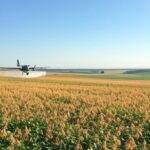 Plantação de soja no Brasil com avião pulverizando agrotóxicos, representando recorde de aprovações em 2025.