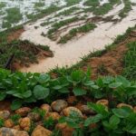 Paisagem rural brasileira inundada por eventos climáticos, representando perdas econômicas de R$ 180 bilhões em 28 anos.