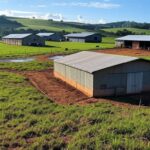 Granja brasileira com criação de frangos e suínos, representando acordo comercial entre Mercosul e União Europeia.