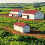 Granja avícola no Rio Grande do Sul afetada por gripe aviária, ilustrando balanço da Asgav para 2025 e expectativas para 2026.