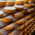 Rodas de queijo Canastra em queijaria mineira, premiado como um dos melhores do mundo pela Taste Atlas.