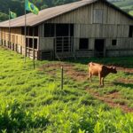 Fazenda brasileira com tanques para material genético animal, simbolizando exportação ao Peru.