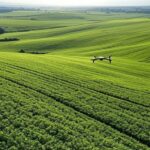 Campos de soja no Brasil monitorados por drone com IA para agricultura automatizada.