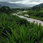 Nuvens de chuva intensas sobre paisagem brasileira, representando previsão do Inmet para fim do La Niña em fevereiro.