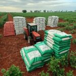Plantação de soja no Brasil com sacos de fertilizantes, ilustrando alta de preços em 2024.