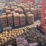 Porto brasileiro com contêineres de exportação de alimentos, projetando bilhões em negócios após Gulfood 2024.