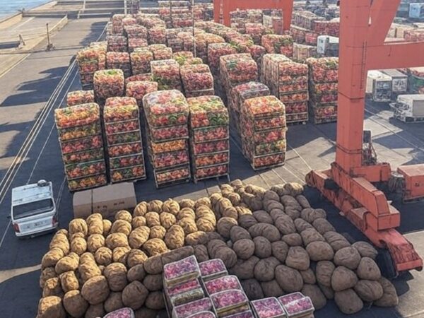 Porto brasileiro com contêineres de exportação de alimentos, projetando bilhões em negócios após Gulfood 2024.