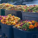 Ponto de coleta do Projeto Composta São Paulo com resíduos orgânicos e mudas de flores em ambiente urbano.