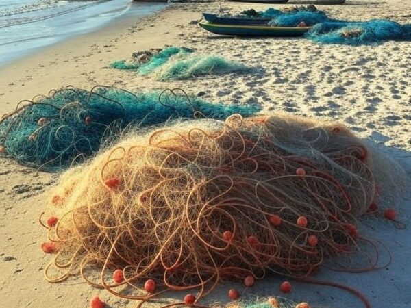 Barcos de pesca ancorados em praia nordestina brasileira, simbolizando cancelamento de licenças de pescadores profissionais.