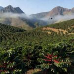 Plantação de café em Minas Gerais com tecnologia geoespacial, simbolizando parceria Brasil-República Tcheca para cafeicultura.