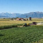 Campos agrícolas na Argentina com plantações e montanhas ao fundo, simbolizando expansão de vendas da Bayer na América Latina.