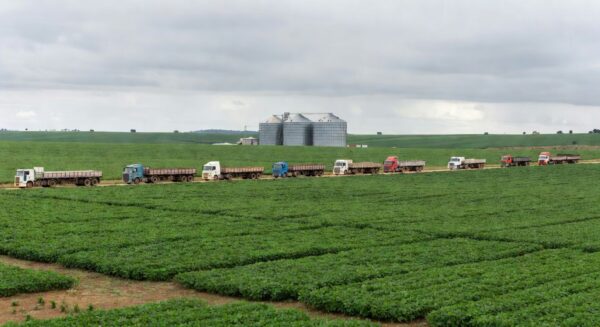 Plantação de soja no Cerrado brasileiro com silos e caminhões, representando debate sobre importação de biodiesel e riscos econômicos.