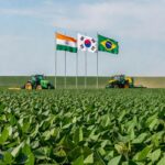 Campos de soja no Brasil com bandeiras da Índia e Coreia do Sul, representando laços agrícolas.