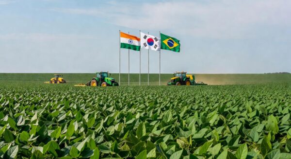 Campos de soja no Brasil com bandeiras da Índia e Coreia do Sul, representando laços agrícolas.
