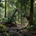 Máquina florestal da John Deere em operação na floresta tropical brasileira, expandindo tecnologias florestais.