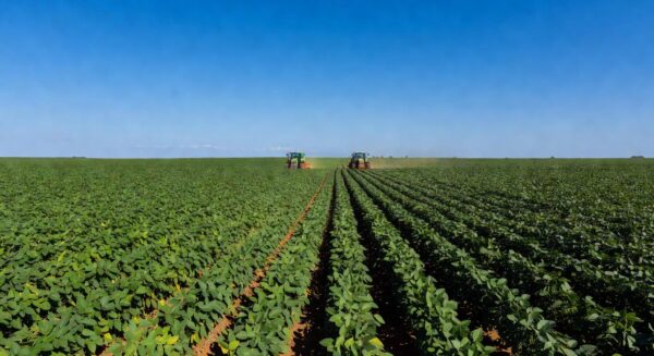 Plantação de soja no Mato Grosso, Brasil, ilustrando contexto agrícola de litígios sobre herbicida Roundup.