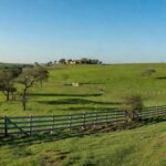 Fazenda La Huella no Paraguai, vasta propriedade rural com campos verdes à venda por mais de US$ 90 milhões.