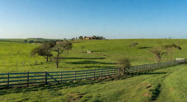 Fazenda La Huella no Paraguai, vasta propriedade rural com campos verdes à venda por mais de US$ 90 milhões.