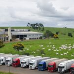 Frigorífico brasileiro com pastagens e gado, ilustrando suspensão de exportações de carne bovina para China.