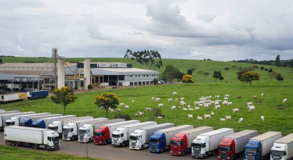 Frigorífico brasileiro com pastagens e gado, ilustrando suspensão de exportações de carne bovina para China.