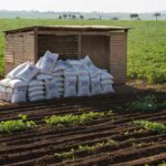 Plantação de soja no Brasil com sacos de fertilizantes, representando atualização de normas de inspeção para produtos agrícolas pelo governo federal.