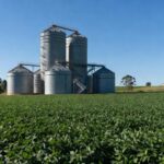 Silos de grãos em plantação no Brasil, ilustrando crescimento econômico no setor agrícola.