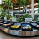 Bagagens com alimentos em aeroporto brasileiro sob inspeção do Ministério da Agricultura, exigindo autorização prévia para viajantes.