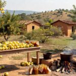 Plantação de marmeleiros no Quilombo Mesquita, com frutos e elementos de produção de marmelada tradicional no Brasil.