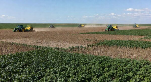 Plantação de soja no Brasil com áreas de perdas na colheita, vista ampla de lavoura no Centro-Oeste.