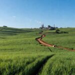 Campos de cana-de-açúcar no interior de SP, com usinas ao fundo, ilustrando expansão por demanda de etanol.