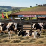 Vacas da raça Holandesa em pavilhão de exposição agropecuária no Rio Grande do Sul, Brasil, durante campeonato na Expoagro Cotricampo.