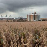 Campo de soja no Brasil com silos e porto ao fundo, ilustrando impactos de ataque ao Irã em commodities e rotas comerciais.