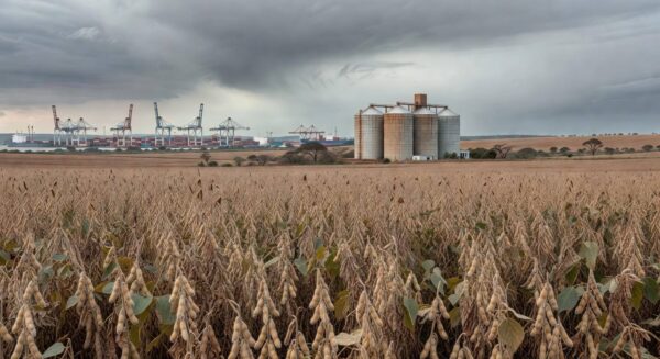 Campo de soja no Brasil com silos e porto ao fundo, ilustrando impactos de ataque ao Irã em commodities e rotas comerciais.