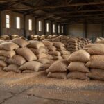 Sacos de feijão carioca empilhados em armazém de São Paulo, ilustrando preço recorde de R$ 541,67 por saco.