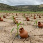Sistema IrrigaPote da Embrapa em lavoura brasileira durante seca, economizando 90% de água em plantações.