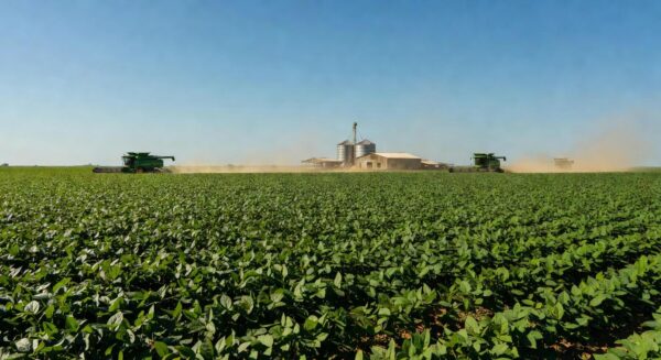 Plantação de soja no Brasil representando o setor agropecuário que gerou 23 mil vagas formais em janeiro de 2026.