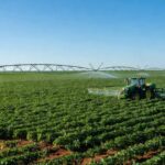 Plantação de soja no Brasil com foco em combate a plantas daninhas, representando indicação ao Prêmio Personagem Soja Brasil da Embrapa.