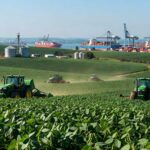 Campos de soja em São Paulo com porto de exportação ao fundo, representando crescimento de 167% nas exportações para China em 2023.