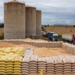 Silos de grãos lotados em Mato Grosso, com gargalo na armazenagem apesar de safra recorde.