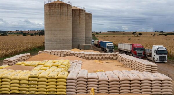 Silos de grãos lotados em Mato Grosso, com gargalo na armazenagem apesar de safra recorde.