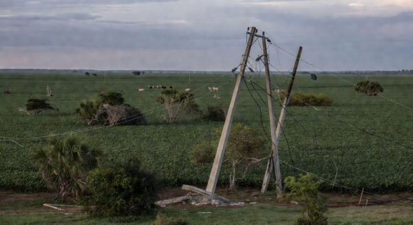 Paisagem rural brasileira com postes de energia danificados em plantação de soja, representando falhas no fornecimento.
