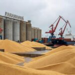 Porto de Paranaguá com silos e cargas de soja para exportação, identificando fraude em 42 toneladas para China.