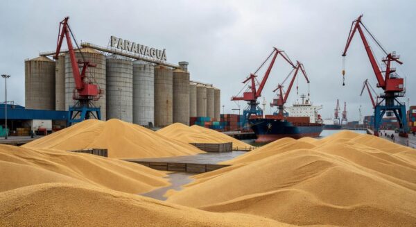 Porto de Paranaguá com silos e cargas de soja para exportação, identificando fraude em 42 toneladas para China.
