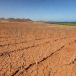 Lavoura de soja seca no Brasil, com algas marinhas representando bioinsumo Algaefix contra seca.